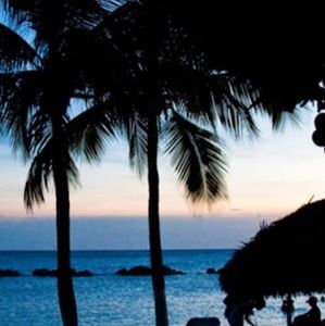 Meet your Posher, Paige